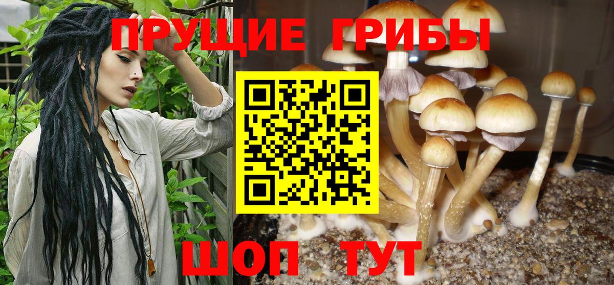 Галлюциногенные грибы ЛСД  даркнет сайт  Нефтекамск  Вход с VPN 